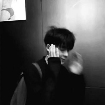 Furry写实风格绘画技巧福瑞群